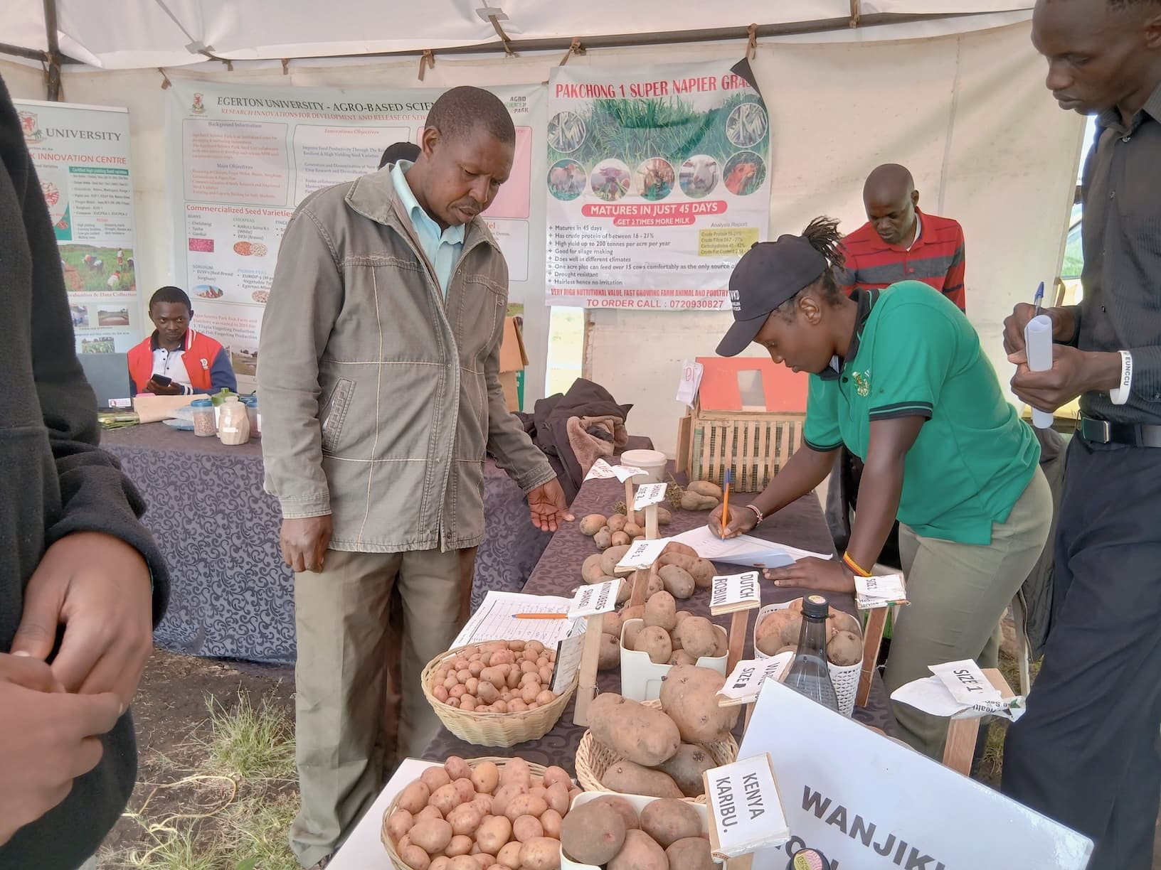 Farmer support activities