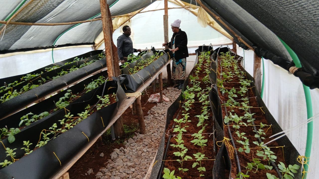 Participatory Variety Evaluation Results Now Available