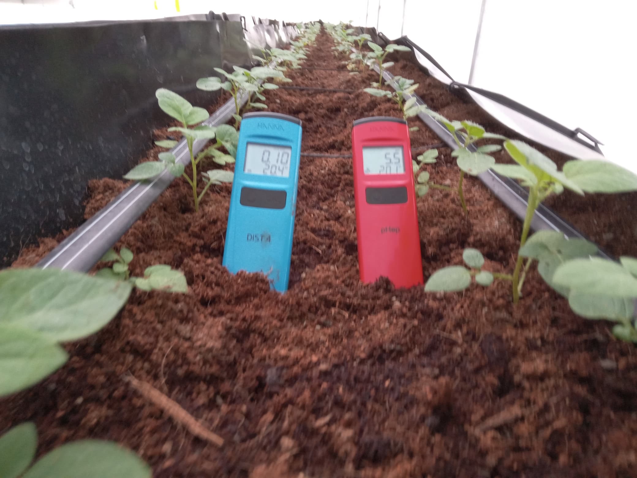 Innovation photo