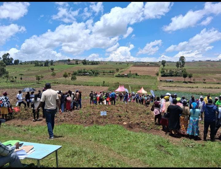 Field Updates, Research Insights & Stories